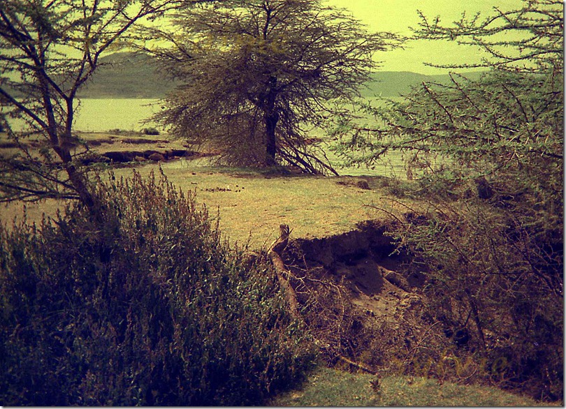 iz-Ethiopie Rift Lac Shala 20.11.77-