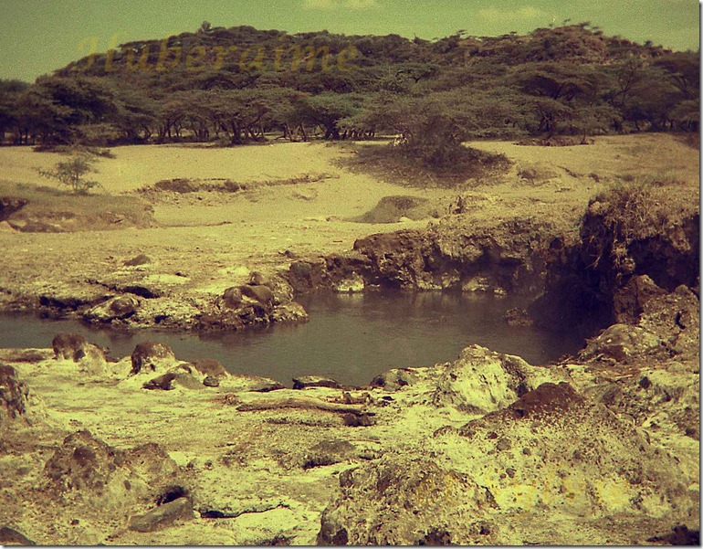 jc-Ethiopie Rift Lac Shala 20.11.77-