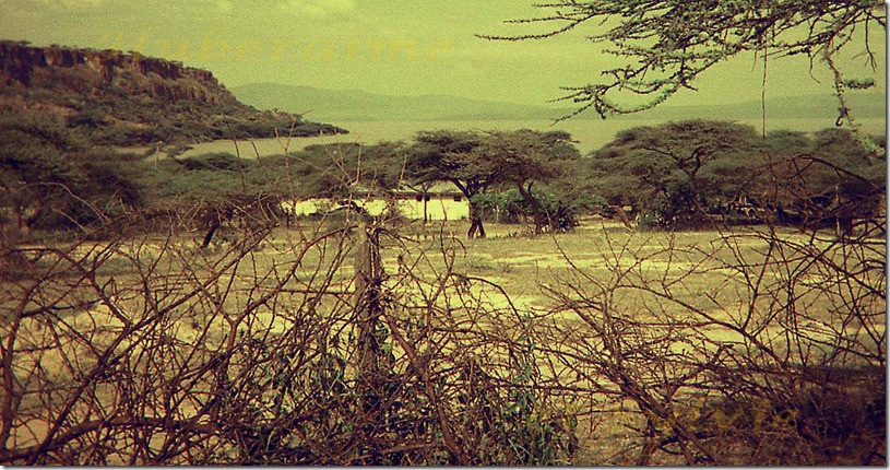 je-Ethiopie Rift Lac Langano 20.11.77-